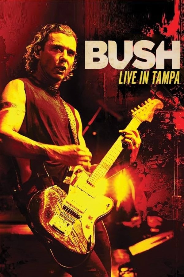 Bush - Live In Tampa