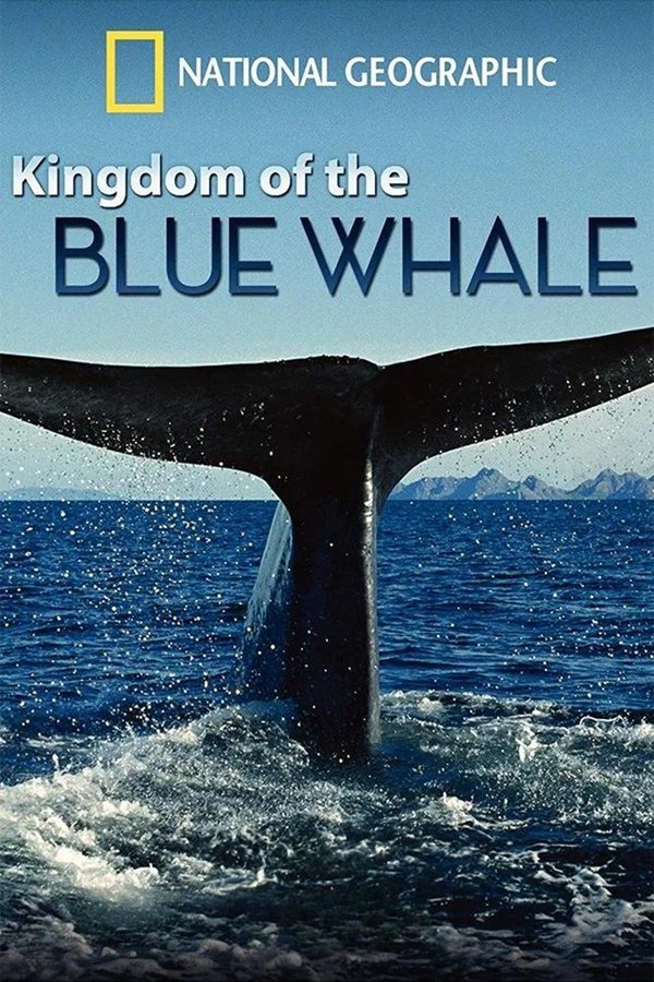 Kingdom Of The Blue Whale