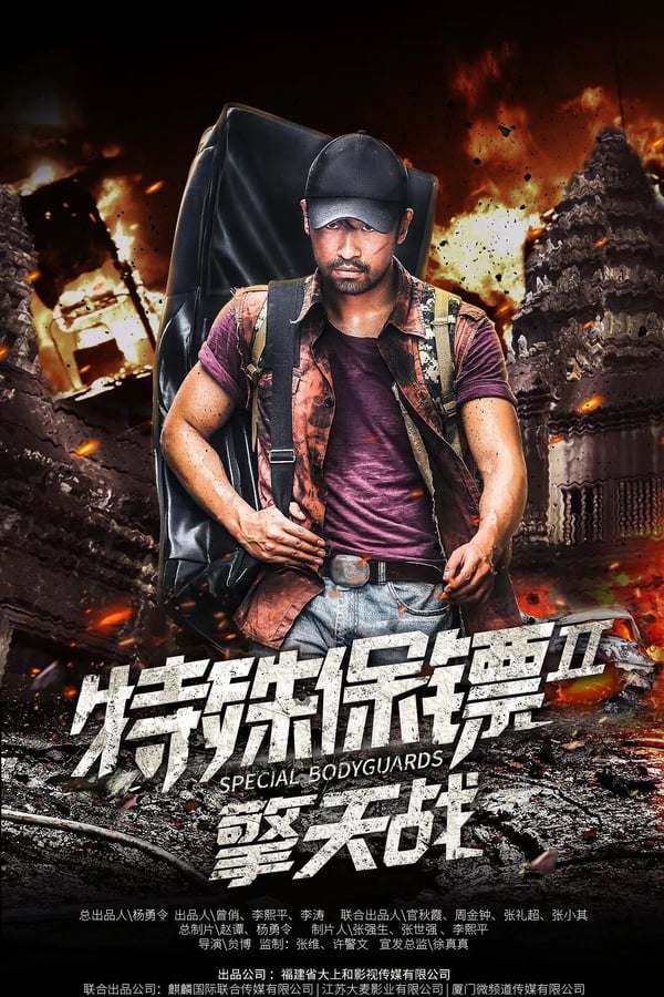 特殊保镖2