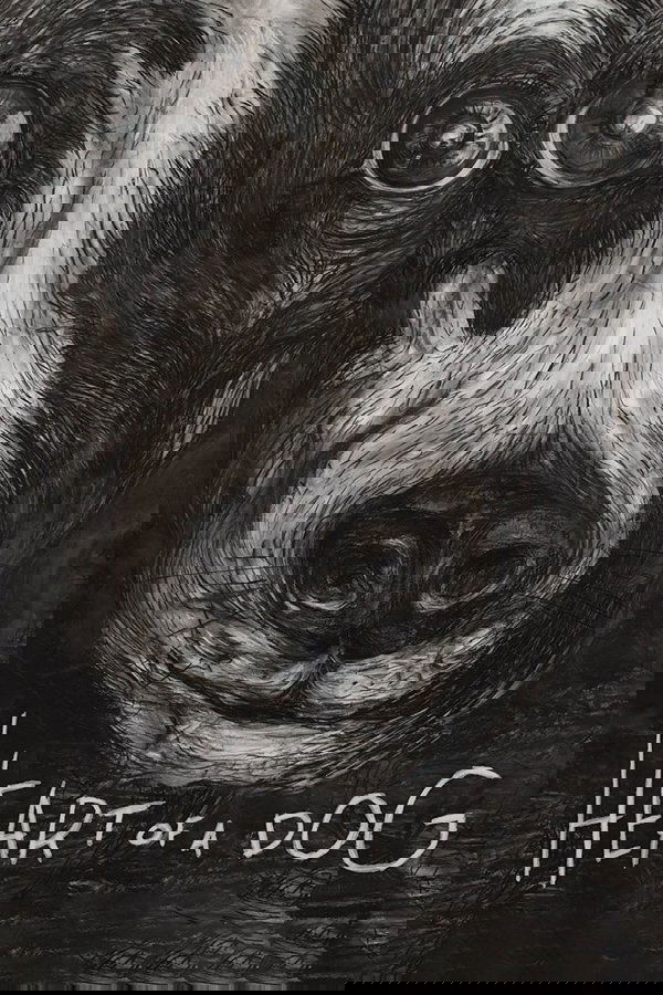 Heart of a Dog