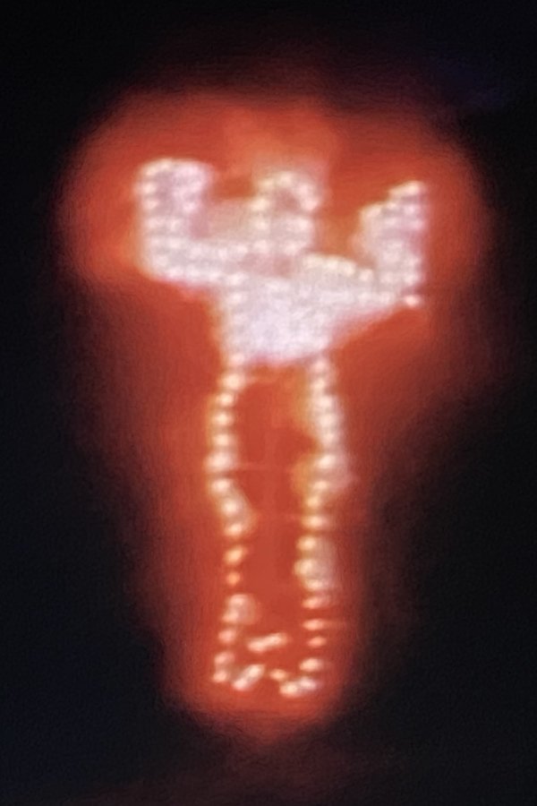 Ana Mendieta: Fuego De Tierra