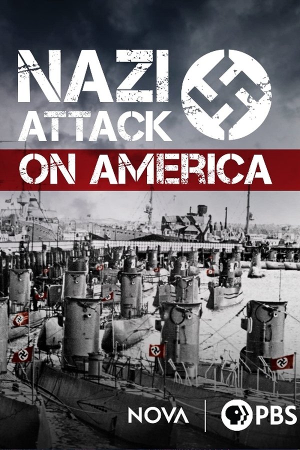 Nazi Attack On America