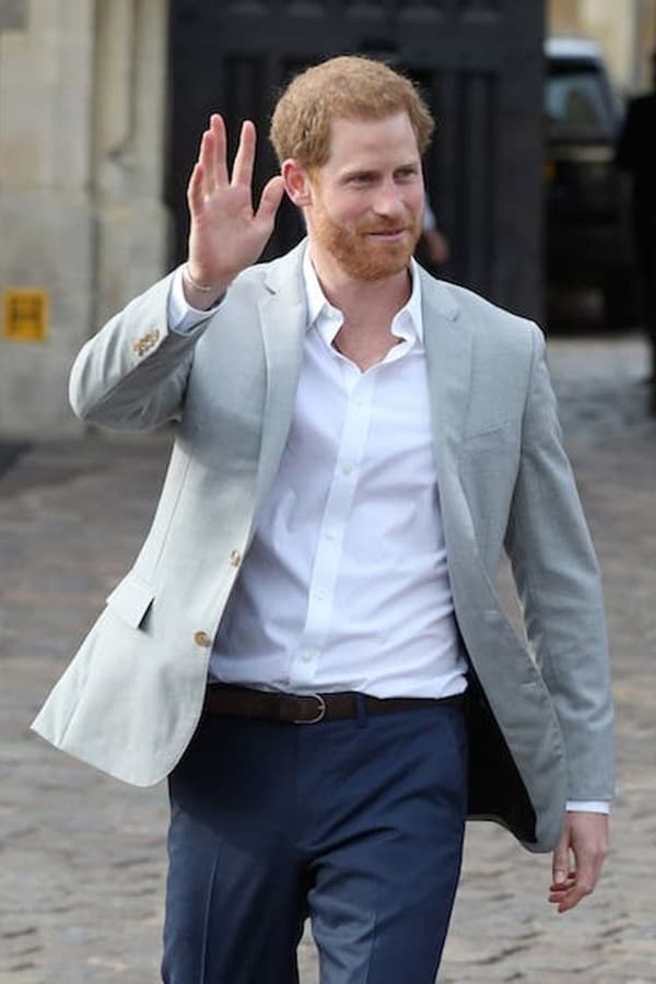 Harry: The Troubled Prince