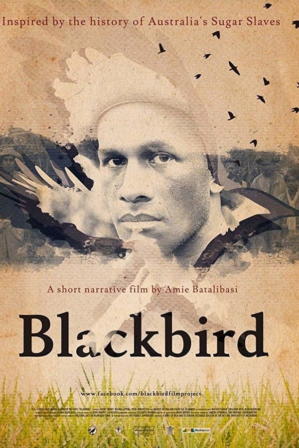 Blackbird