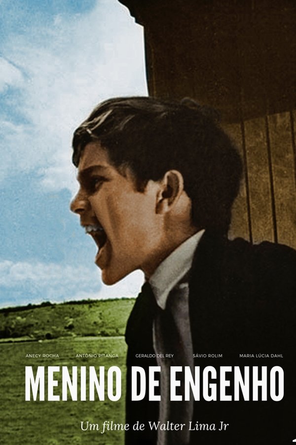 Menino De Engenho