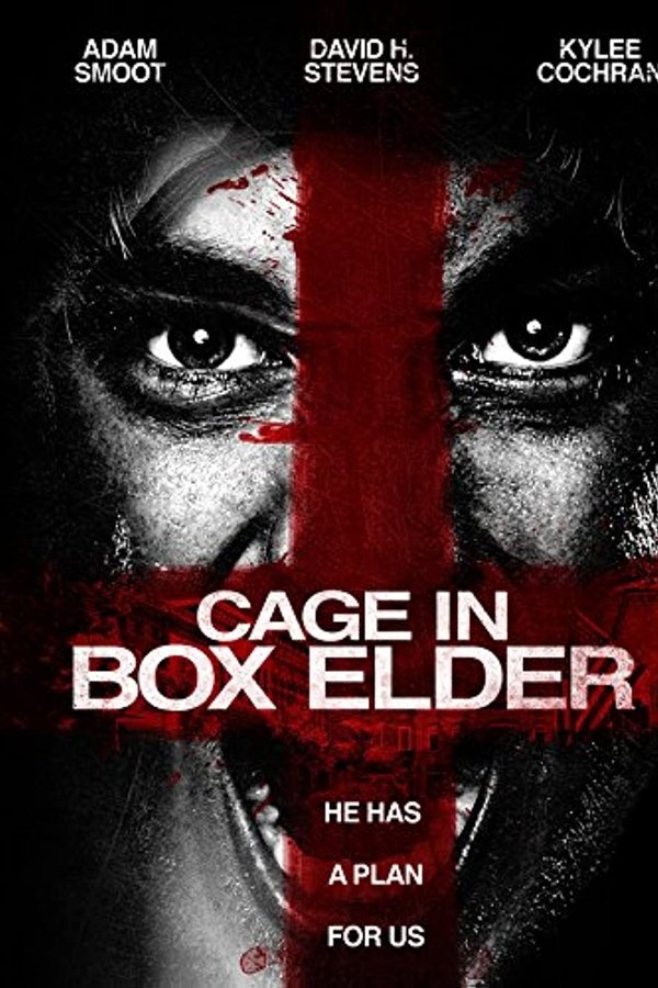Cage In Box Elder