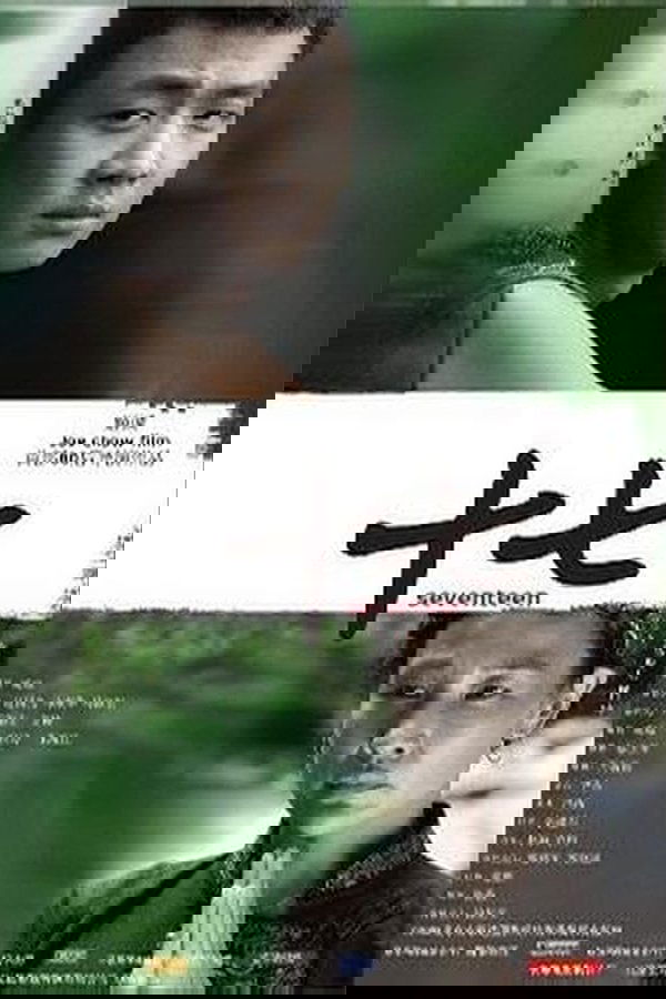 十七