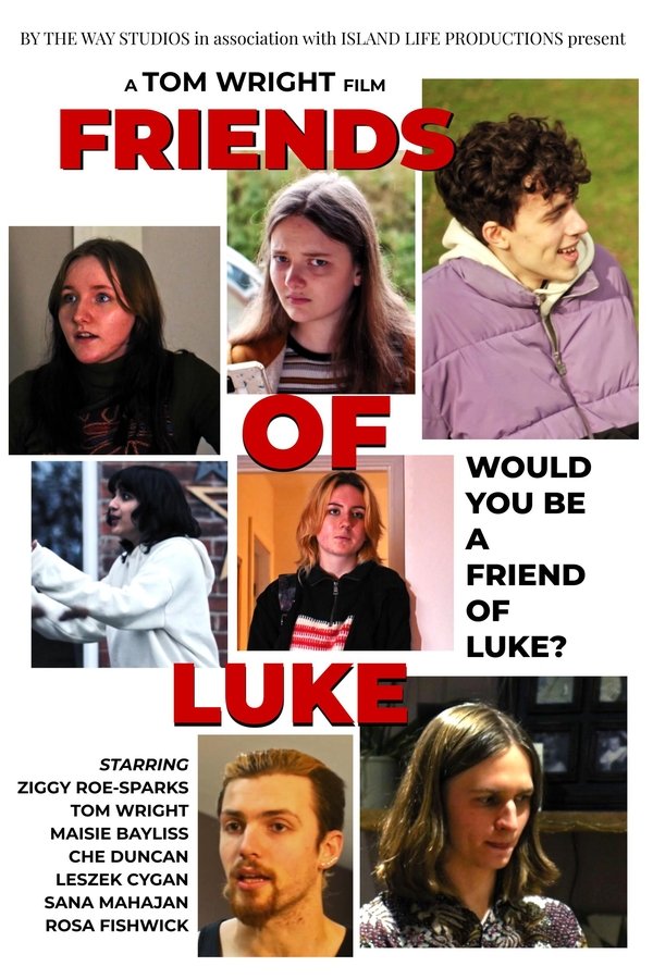 Friends Of Luke