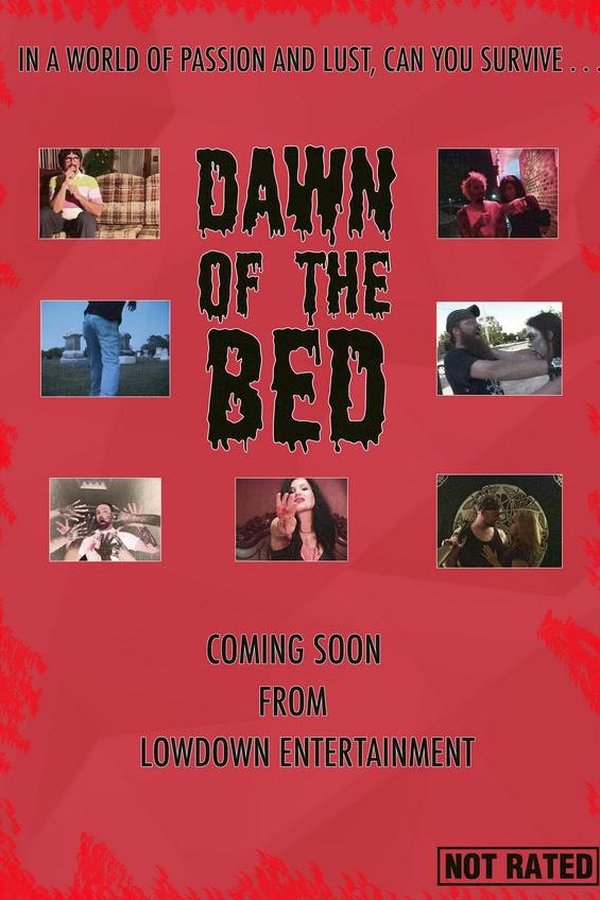 Dawn Of The Bed