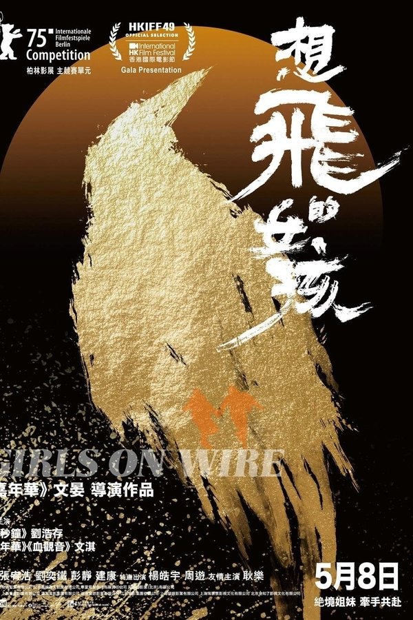想飞的女孩