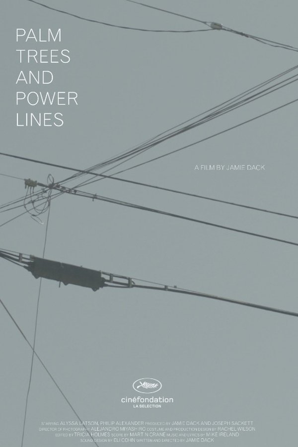 Palm Trees And Power Lines