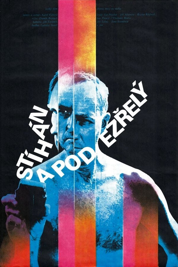 Stíhán A Podezřelý