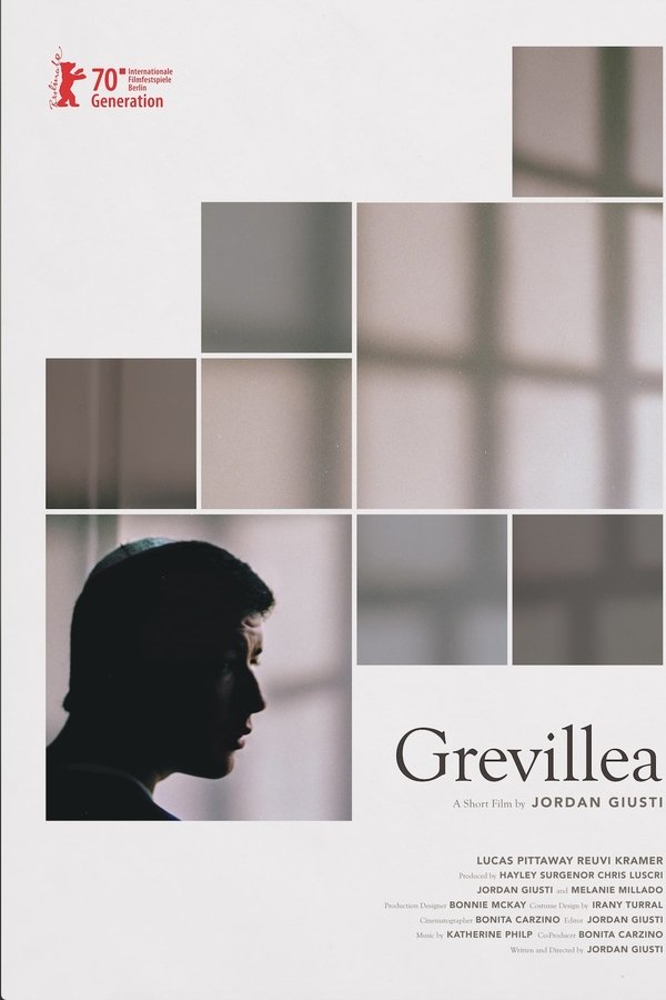 Grevillea