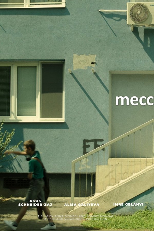 Meccs