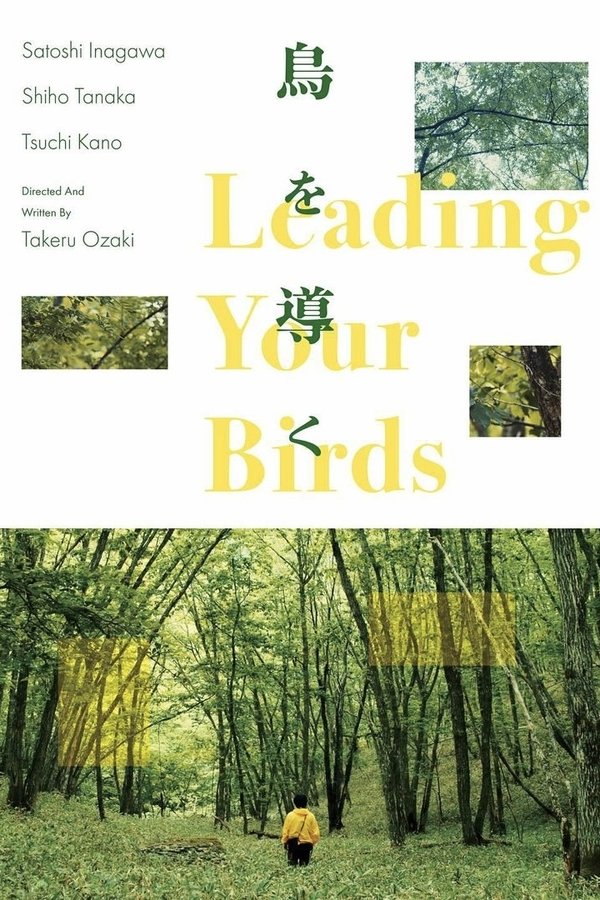 鳥を導く