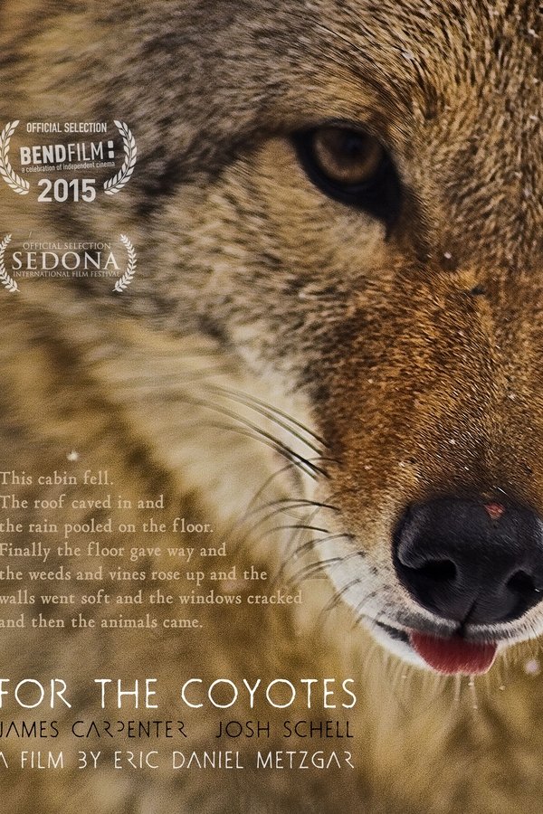 For The Coyotes