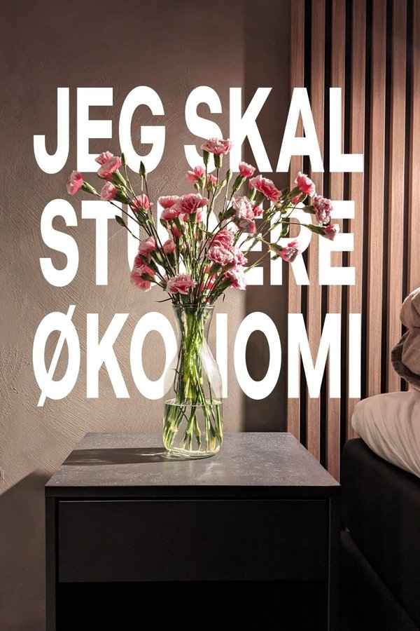 Jeg Skal Studere økonomi