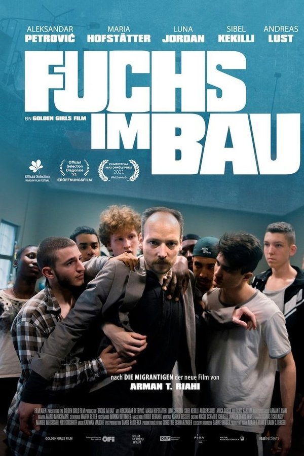 Fuchs Im Bau