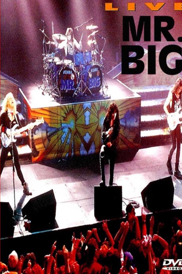 Mr. Big: Live