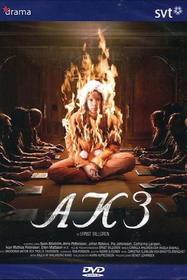 AK3 - Dolda Beslut