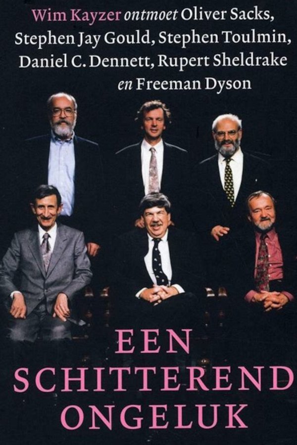Een Schitterend Ongeluk