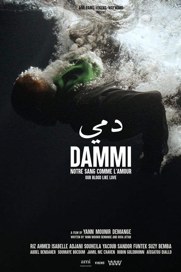 Dammi