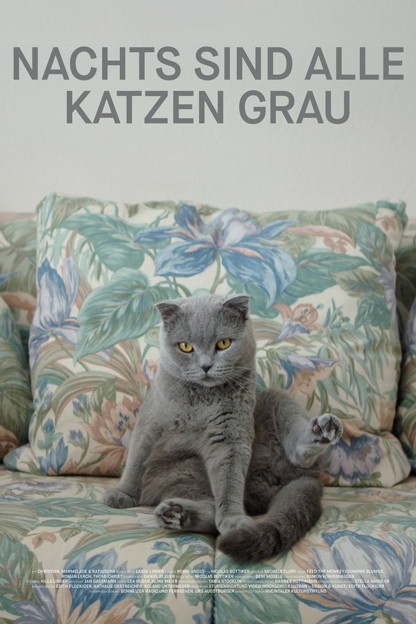 Nachts Sind Alle Katzen Grau
