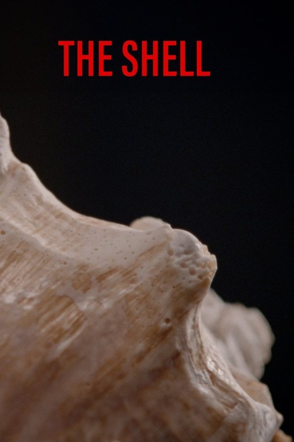 The Shell