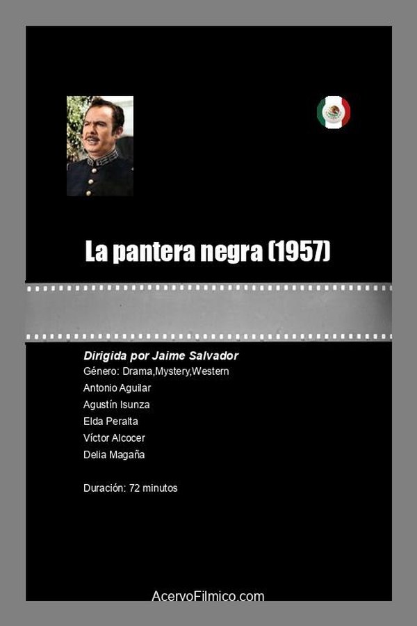 La Pantera Negra