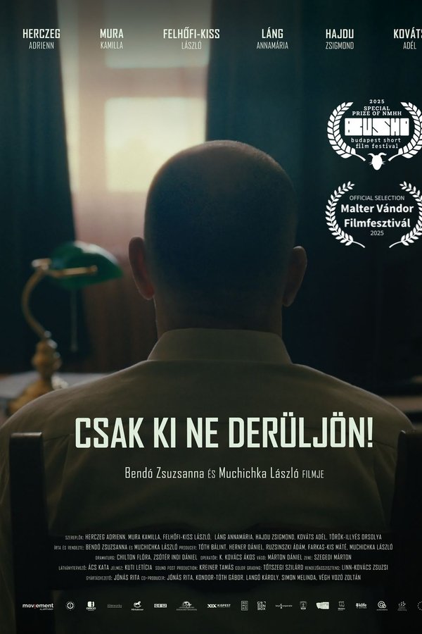 Csak Ki Ne Derüljön!
