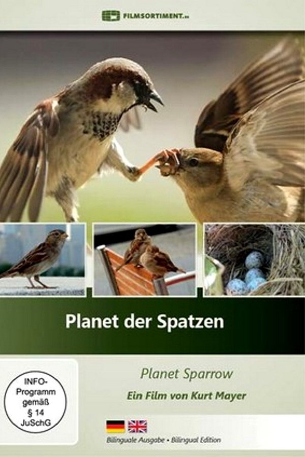 Planet der Spatzen