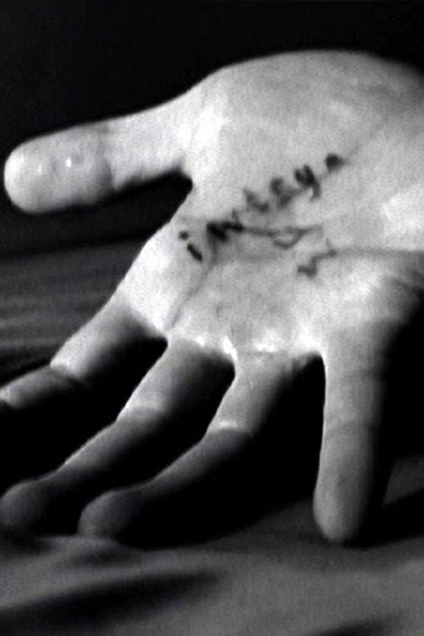Dissolution Of Bodies