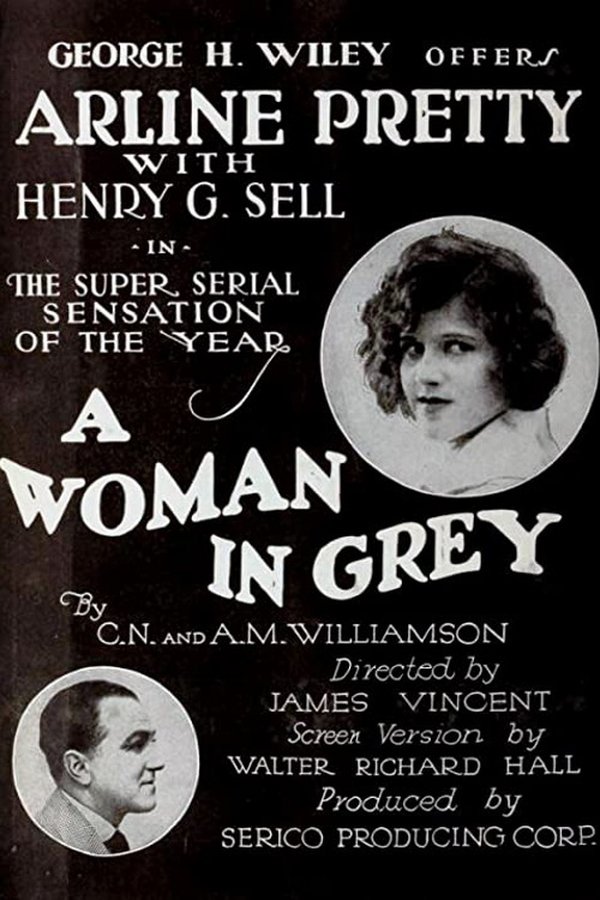 A Woman In Grey