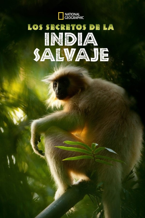 Secrets of Wild India