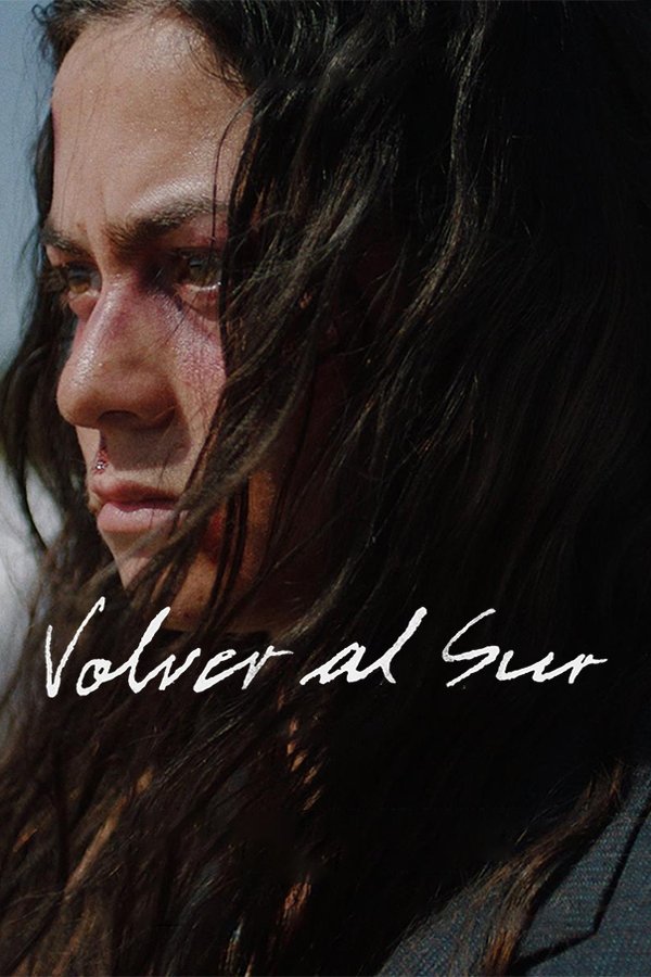 Volver Al Sur