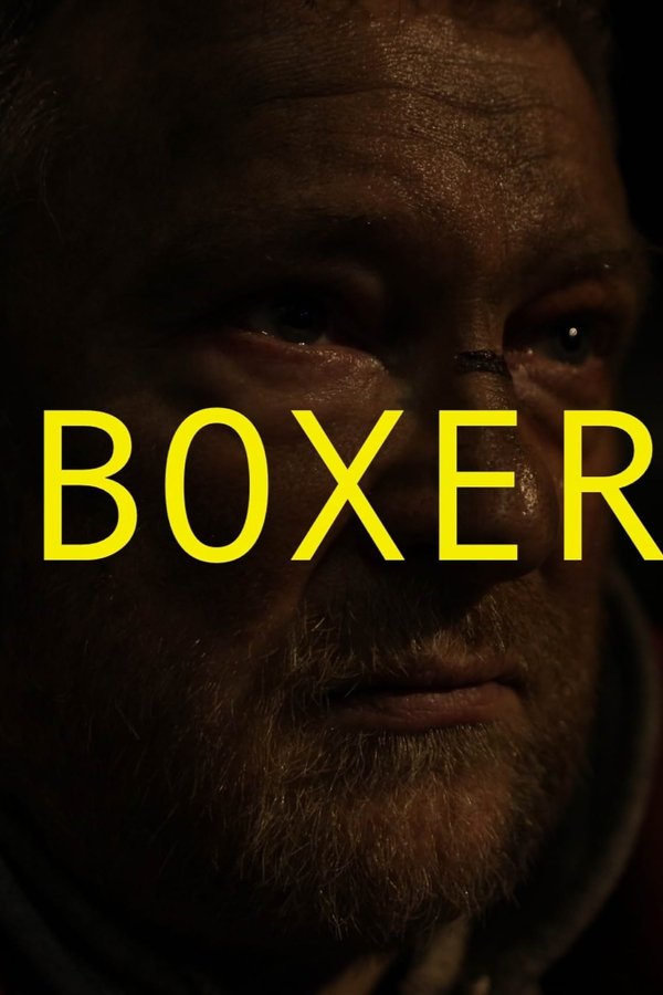 Boxer