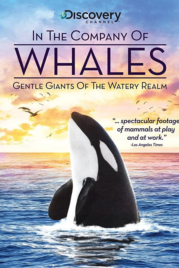 In The Company Of Whales