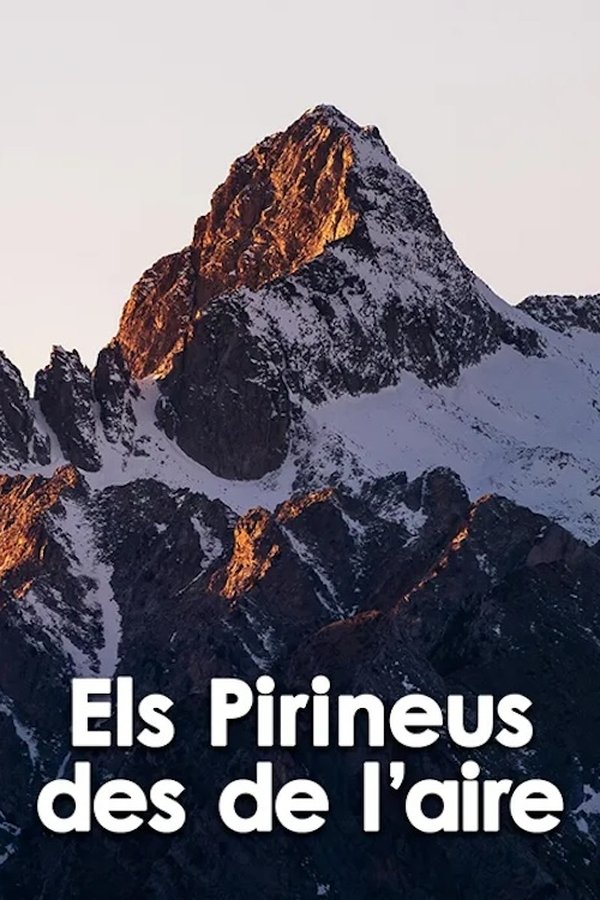 Els Pirineus Des De L'aire