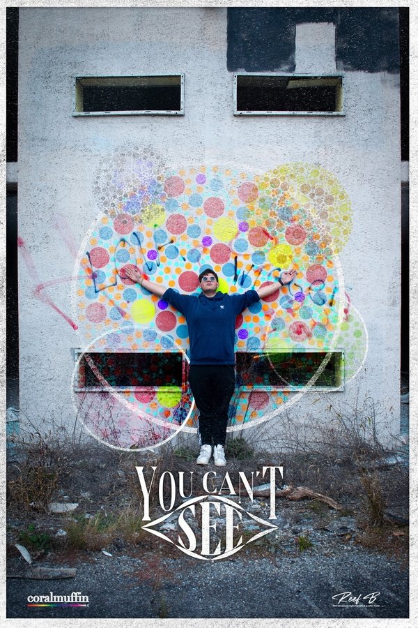 You Can't See