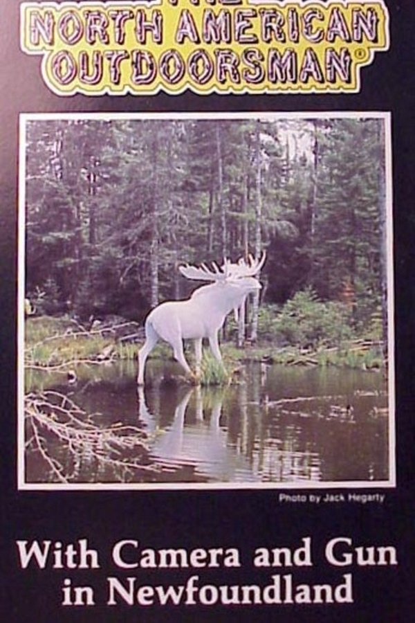 With Camera And Gun In Newfoundland