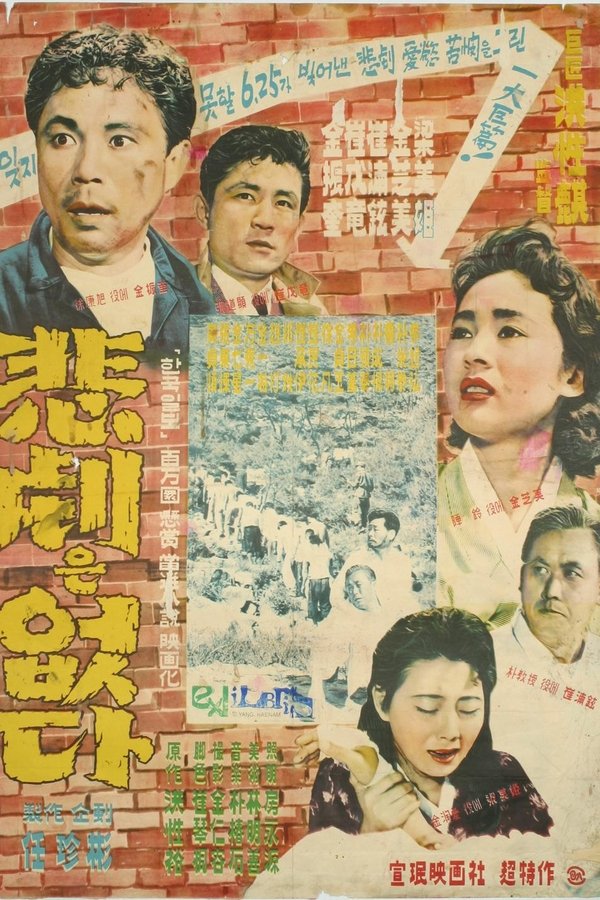 비극은 없다