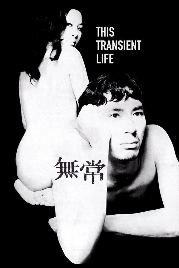 This-transient-life