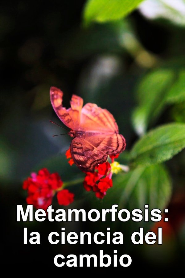 Metamorphosis: The Science Of Change