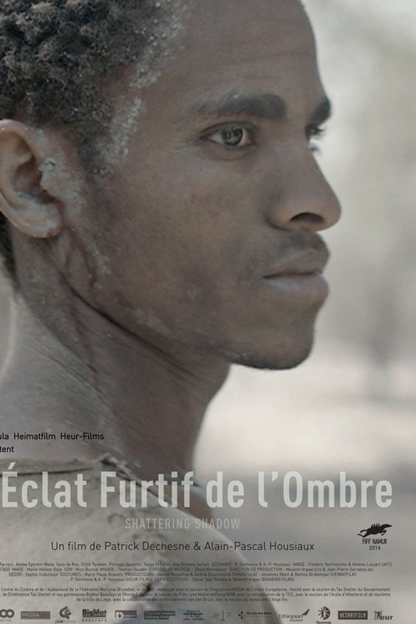 L'éclat Furtif De L'ombre