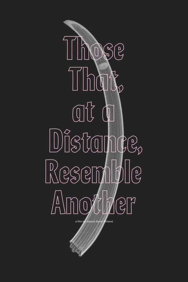 Those That, At A Distance, Resemble Another