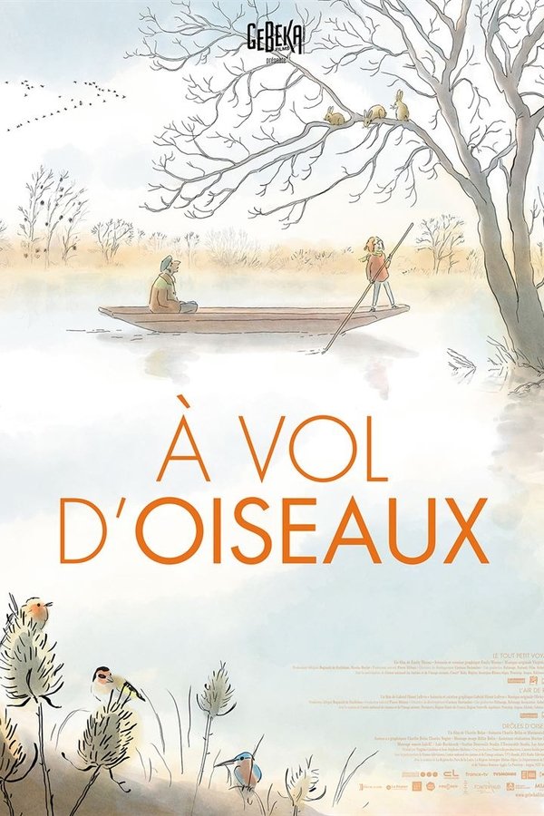 À Vol D’oiseaux