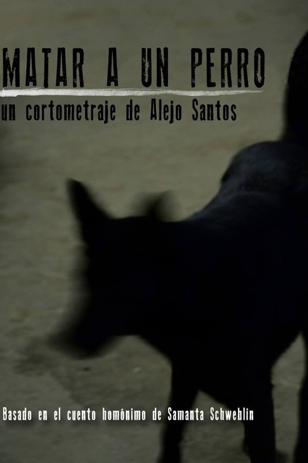 Matar A Un Perro
