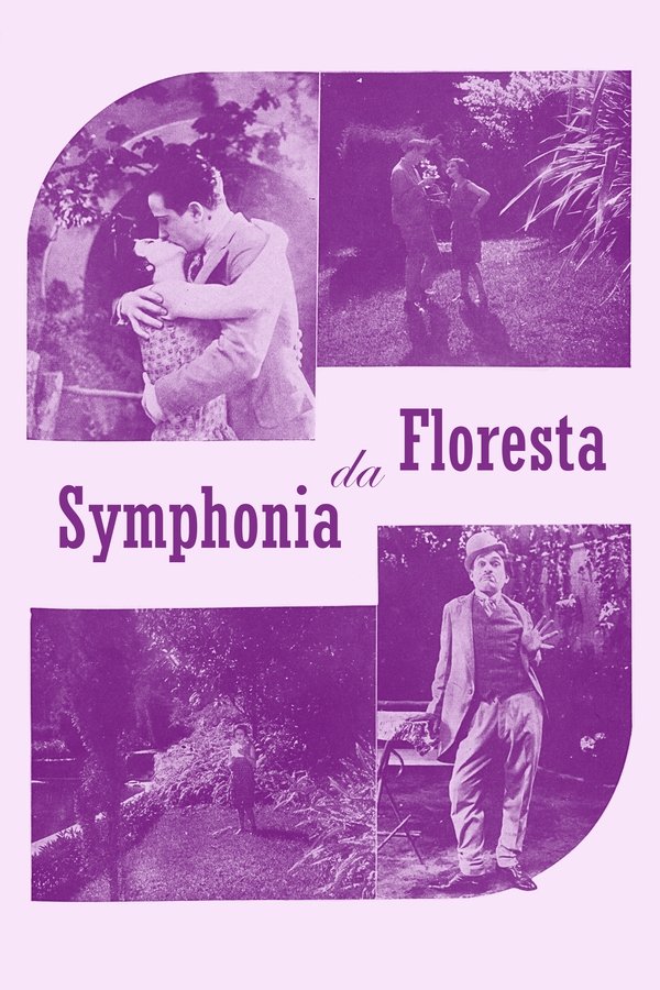 Sinfonia Da Floresta