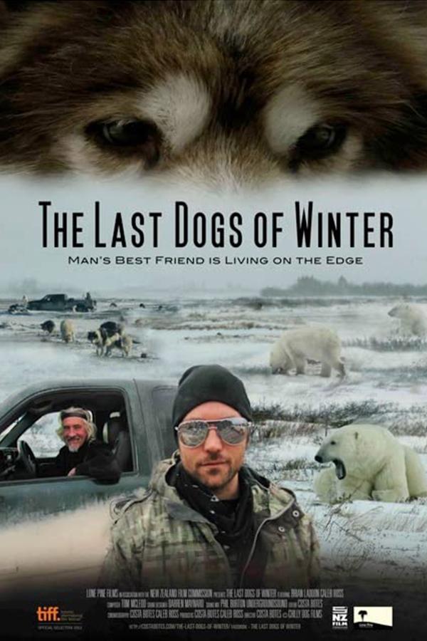 The Last Dogs Of Winter