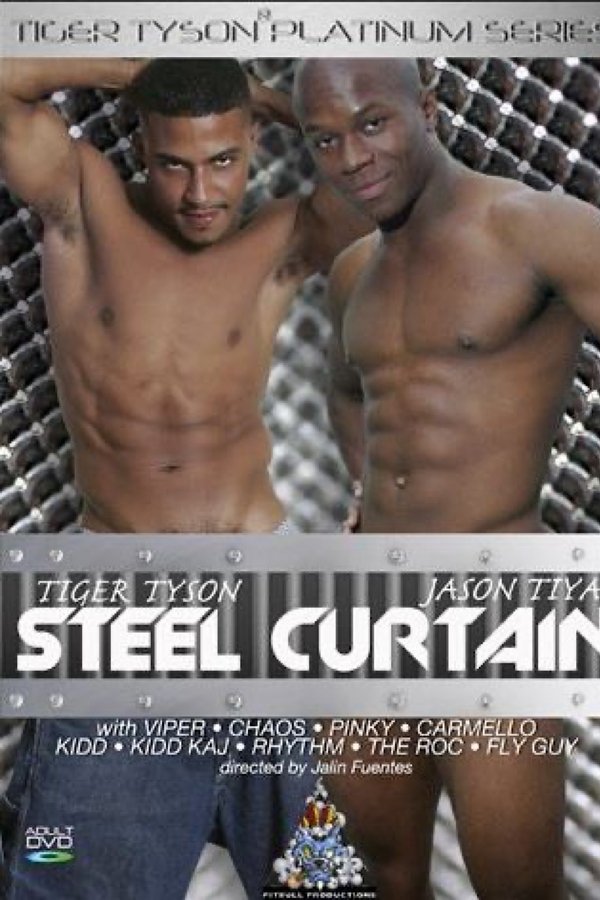 Steel Curtain